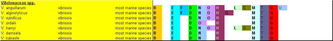 Vibrio Species