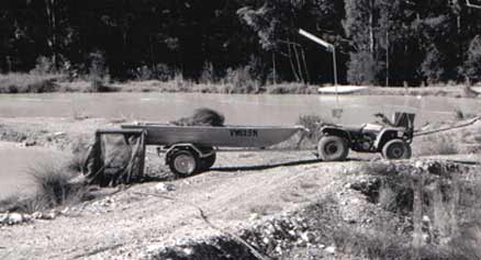 Silver Perch Harvesting