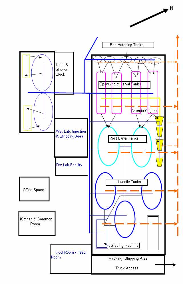 hatchery schematic II