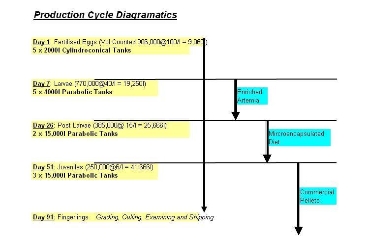 Fish Hatchery Production Cycle